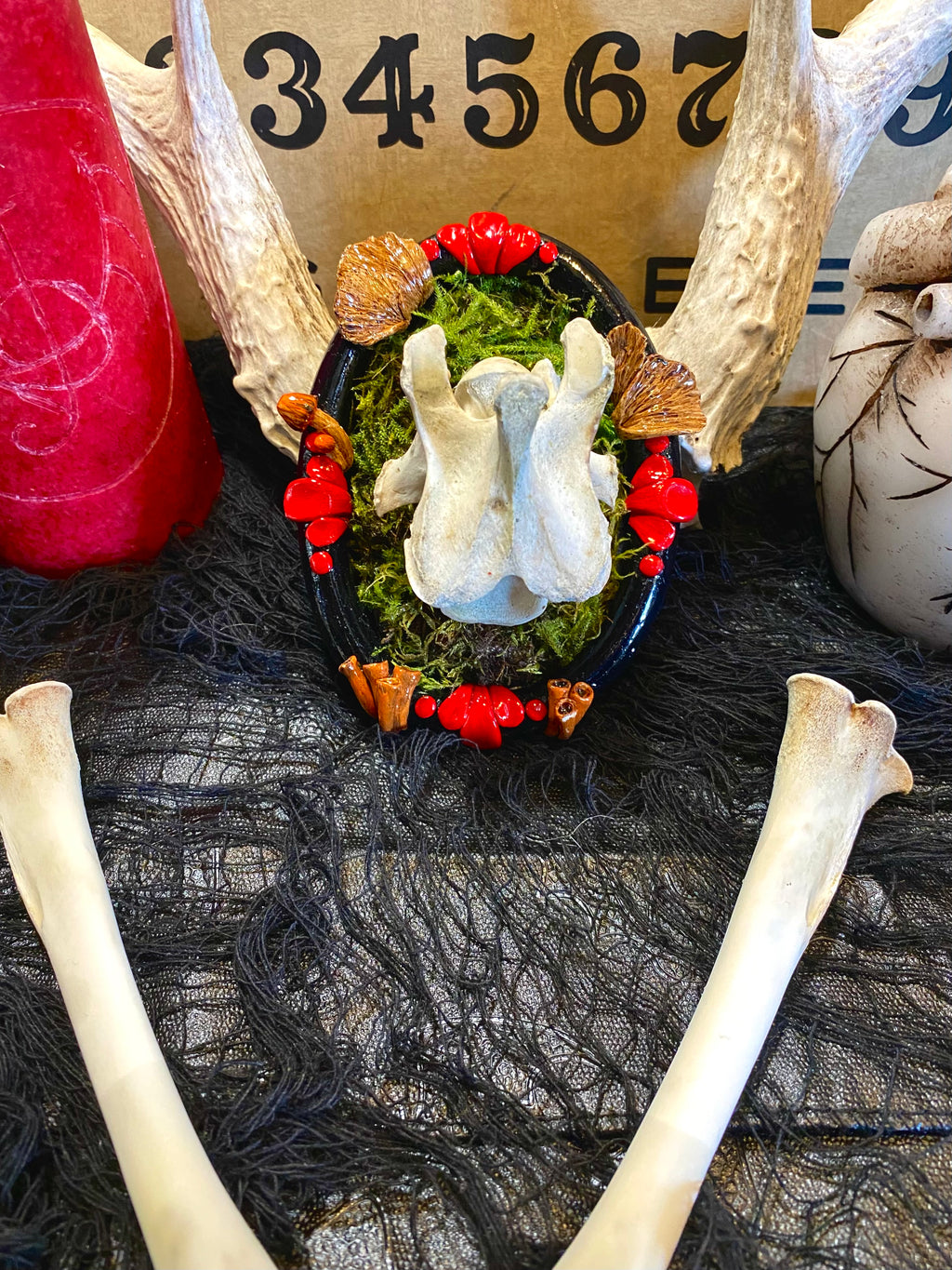 Original Sculpted Ornate Oddity Frame